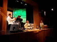 Live concert performance with fellow musicians on stage